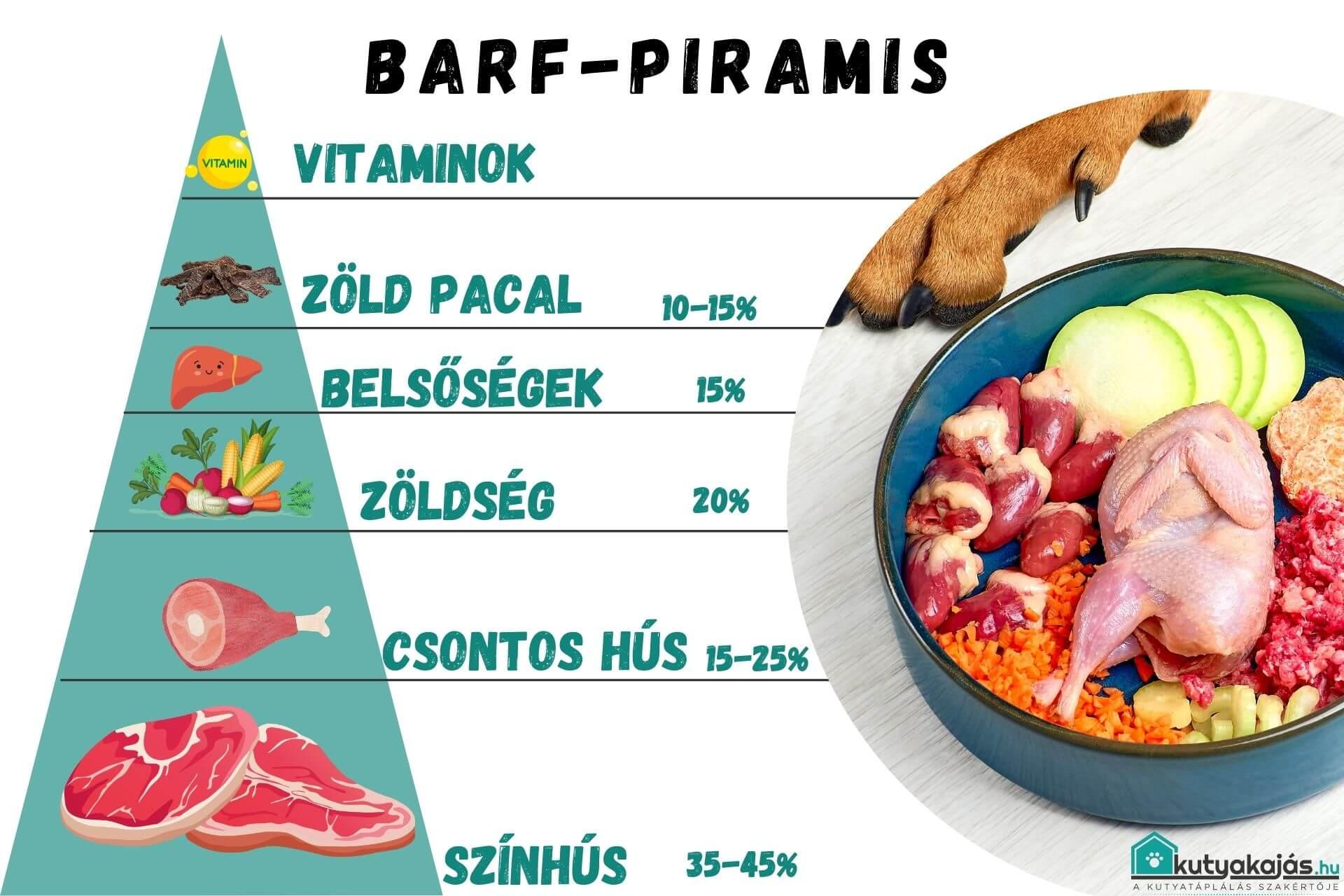 felnott-kutya-etetese-tablazat