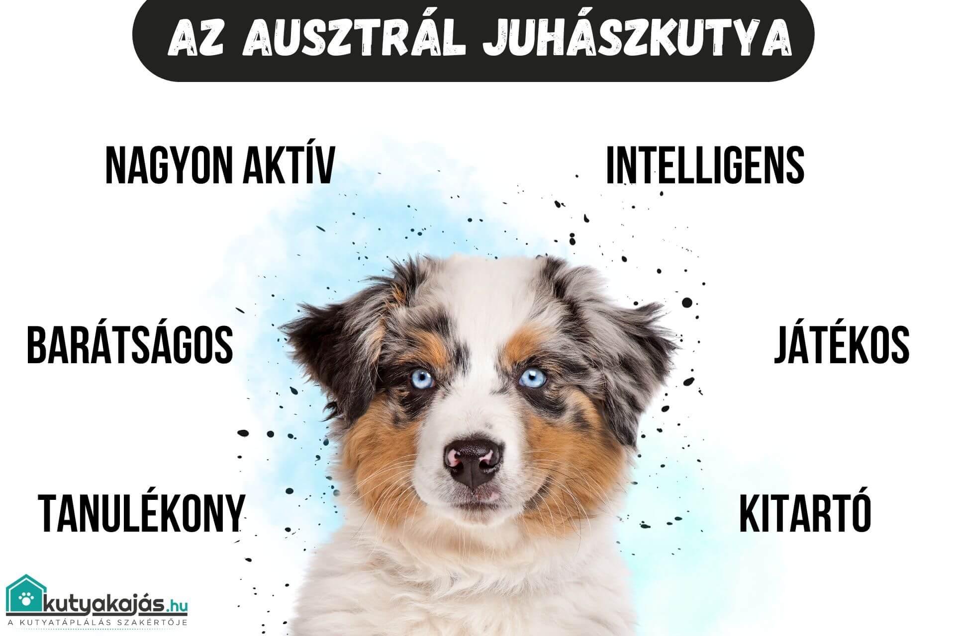 juhaszkutya