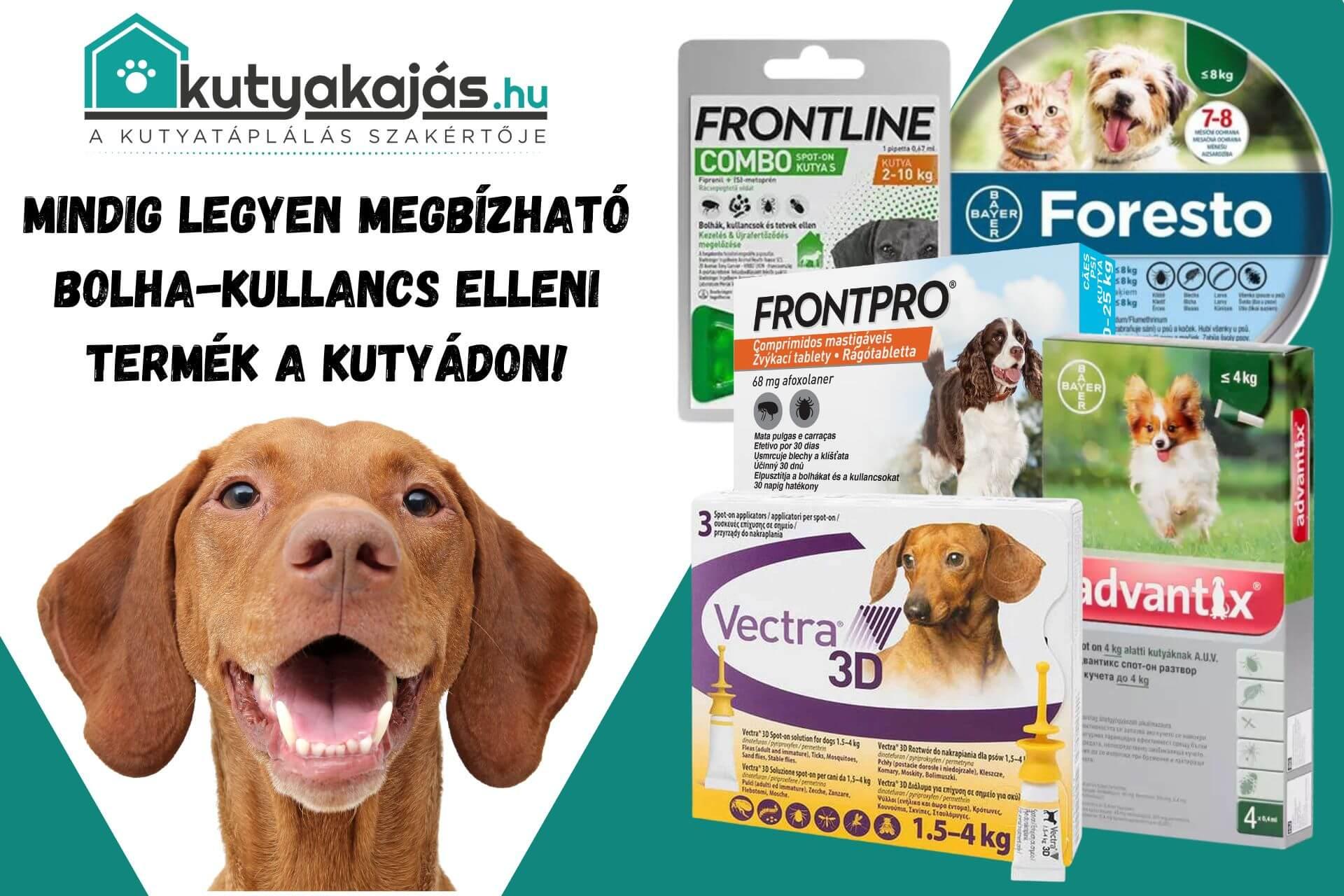 kutya-kullancs-elleni-terek