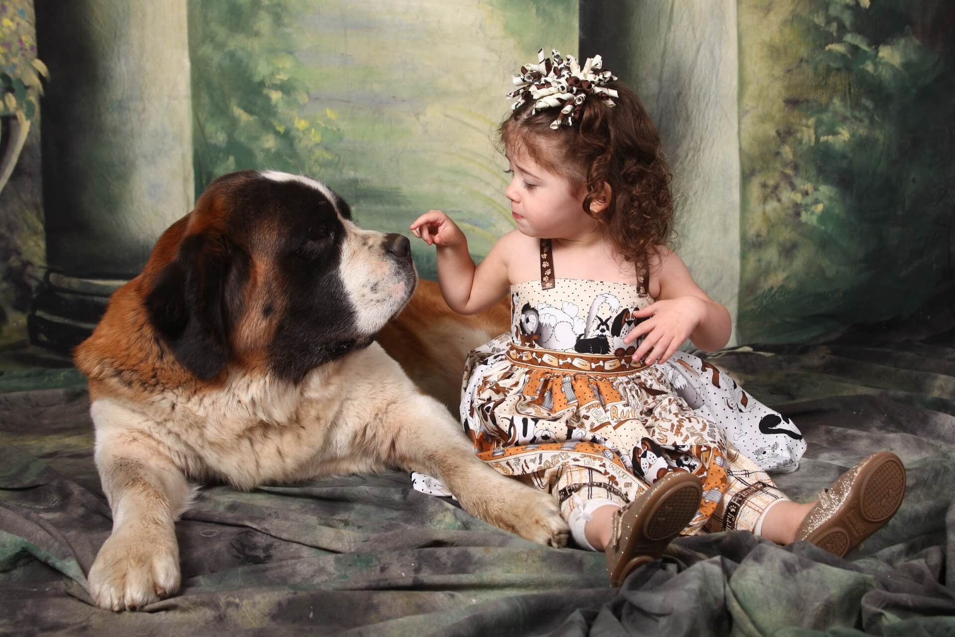 bernathegyi-kutya-fajta