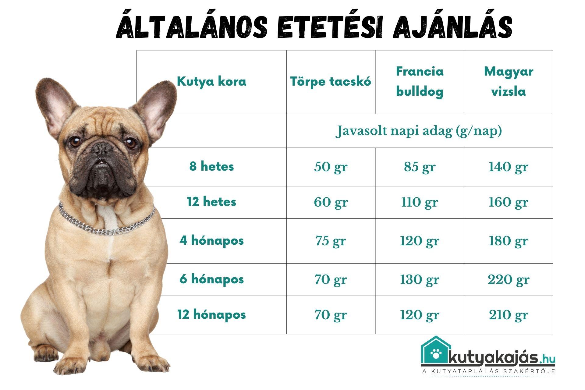 francia-bulldog-etetesi-ajanlas
