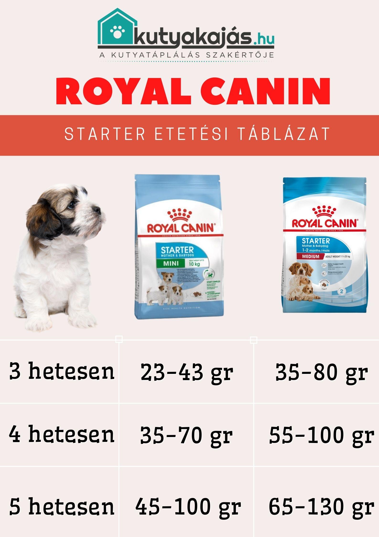 royal-starter-etetes