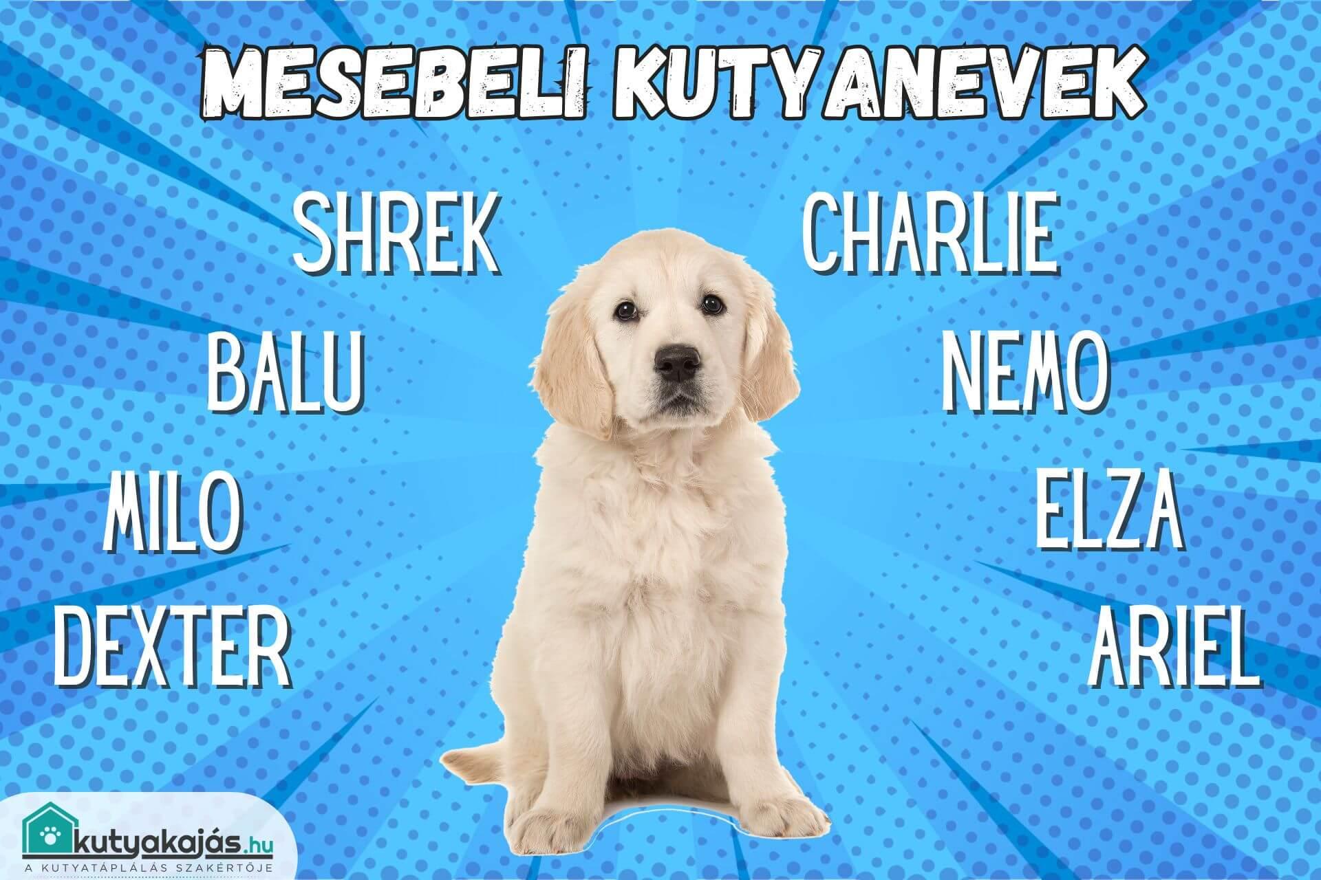 mesebeli-kutya-nevek