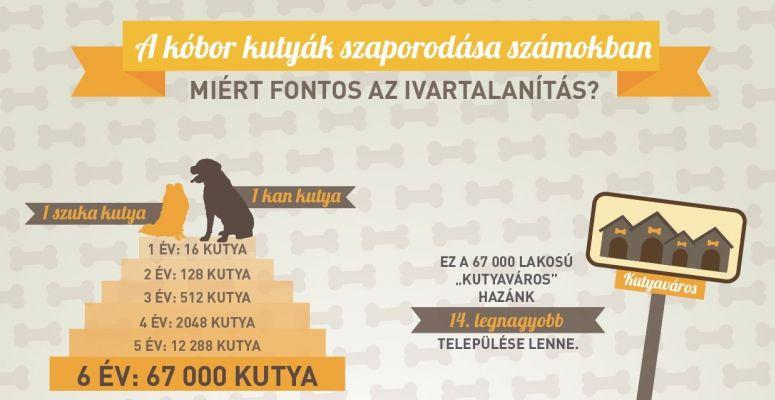 kutyaivartalitas