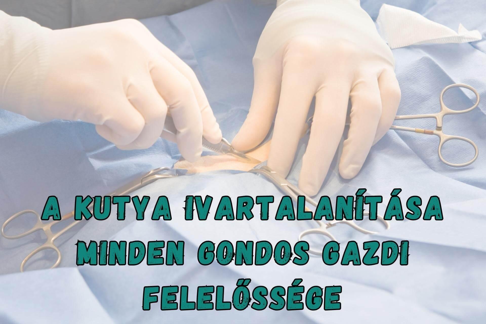ivartalanitas-2023