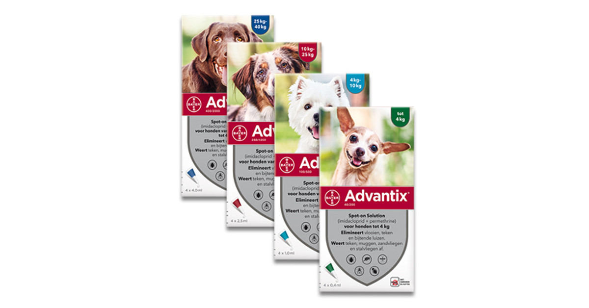 advantix spot on hund