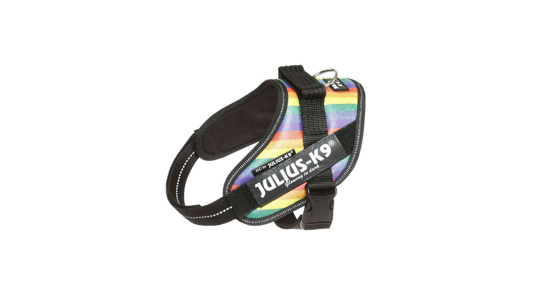 julius k9 rainbow