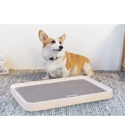 Kutya alom – Mert van élet a kutyapelenka után is