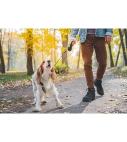 Kutya ugatás ellen – Mit tehetsz, ha túl hangos a kedvenced?