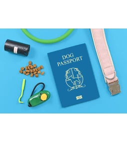 Kutya útlevél – Utazz gondtalanul kedvenceddel!
