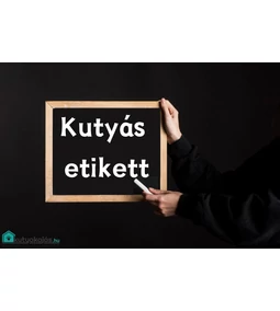 Kutyás etikett: azaz mit érdemes megtanítani a kutyádnak