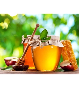 Mézet a kutyának. Igen vagy nem?