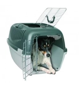 Hogyan szállítsam autóban a kutyát?