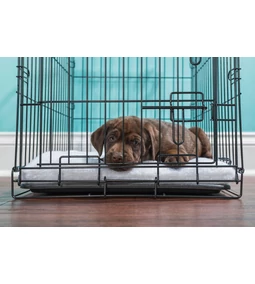 Szobakennel a lakásban – mire jó, kinek ajánlott 