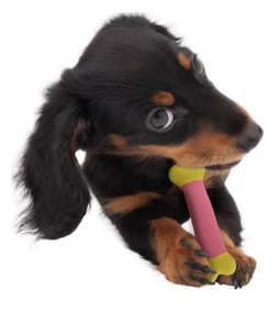 Strapabíró játékok rágóbajnokoknak