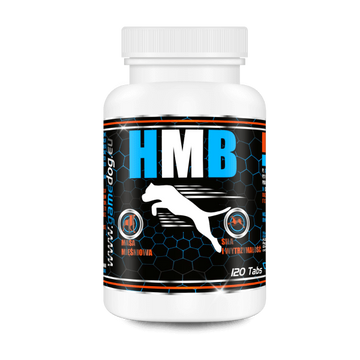 hmb-tabletta-izomepito