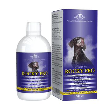 rocky-pro-all