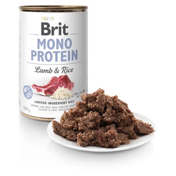 brit_mono_lamb_rice