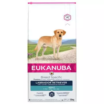 eukanuba-breed-labrador