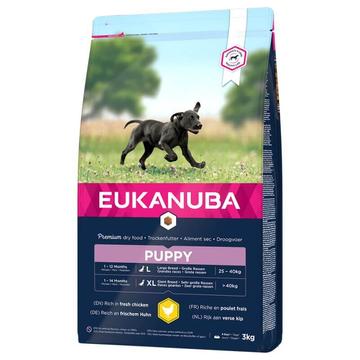eukanuba-puppy-large