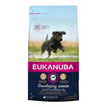Eukanuba Junior Large 15kg kutyatáp