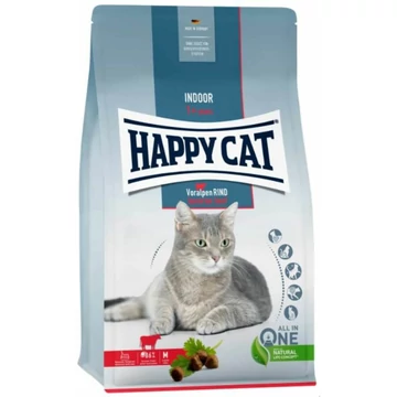 happy-cat-indoor-marha