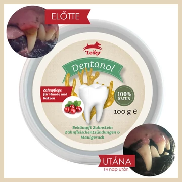 Leiky Dentanol 100% természetes fogkő, fogínygyulladás és szájszag elleni por 100g