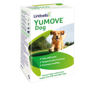 Lintbells YuMOVE Dog - Porcerősítő kutyáknak 60 db