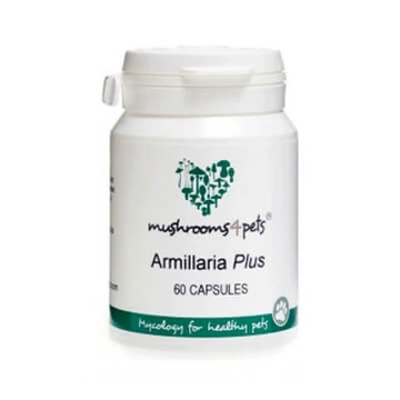 armillaria-plus