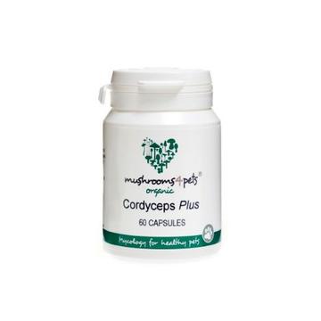 cordyceps-plus-kapszula-60db