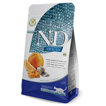 nd-ocean-cat-adult-hering-sutotok-narancs