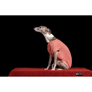 NR Dogs Kutyaruha Lazac S