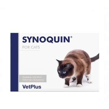 synoquin-cat