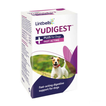 Lintbells YuDIGEST PLUS - Hasmenésre, gyomorproblémákra kutyáknak és cicáknak - 6 tasak