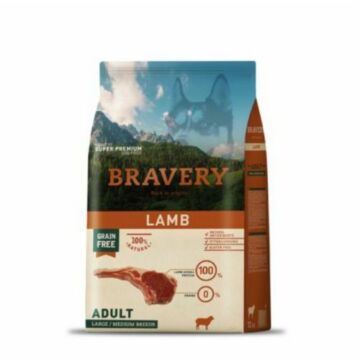 bravery-lamb