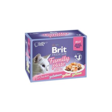 brit-premium-cat-delicate-fillets-in-jelly-dinner-plate