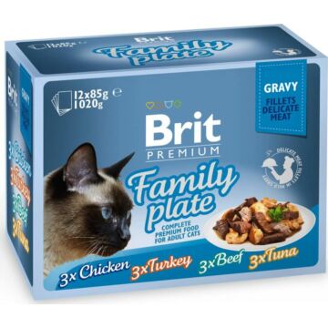 brit-premium-cat-gravy-family-plate