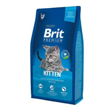 brit-premium-kitten