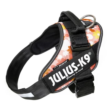 Julius-K9 IDC Powerhám, felirattal, Mini &quot;Rózsaszínen virágok&quot;