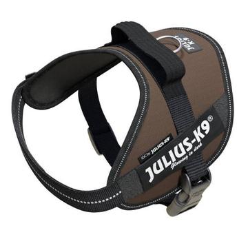 julius-k9-idc-powerhám-felirattal-baby-1-csoki-barna