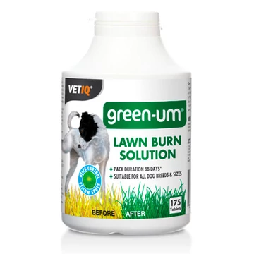 mc-green-um-175