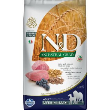 N&D Dog Ancestral Grain bárány&áfonya Adult medium&maxi 2,5kg
