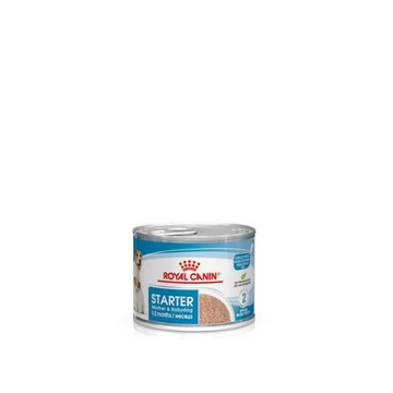 royal-canin-start-of-life-starter mousse