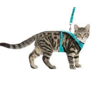 trixi-poraz-Y-ham-39-60cm