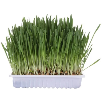 trixie-macskafu-dobozos