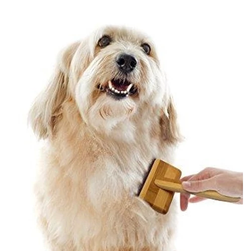 Kutyafésű, Kutyakefe