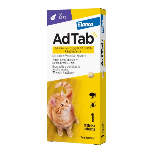 adtab-macska-kicsi