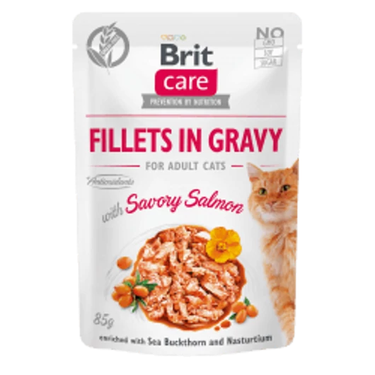 brit-care-cat-gravy-salmon