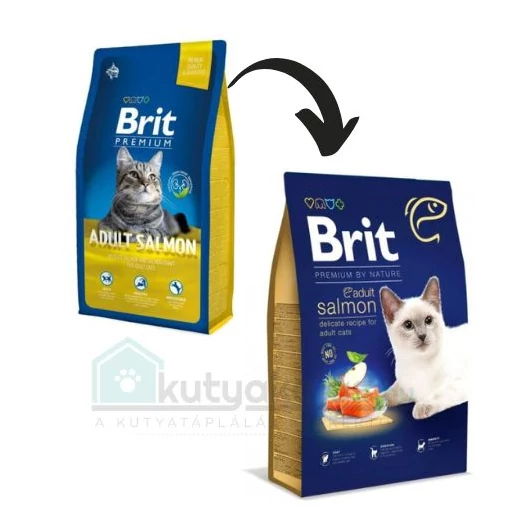 brit_cat_adult_salmon
