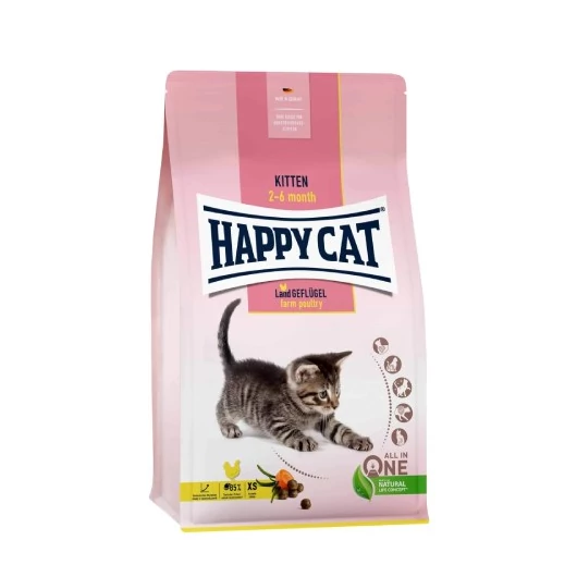 happy-cat-bitten-baromfi